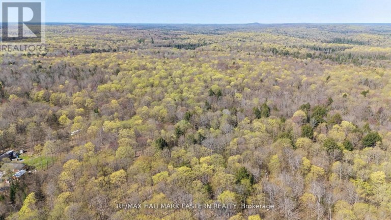 2494 HADLINGTON ROAD, Highlands East (Monmouth), Ontario, K0L3K0