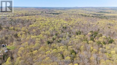 2494 HADLINGTON ROAD Highlands East (Monmouth) Ontario photo 8