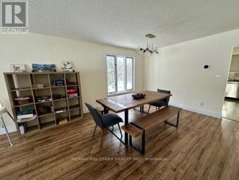 382 COUNTY RD 36 Trent Lakes Ontario photo 13