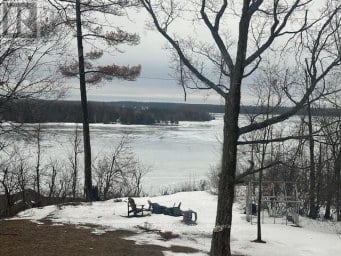 382 COUNTY RD 36 Trent Lakes Ontario photo 26