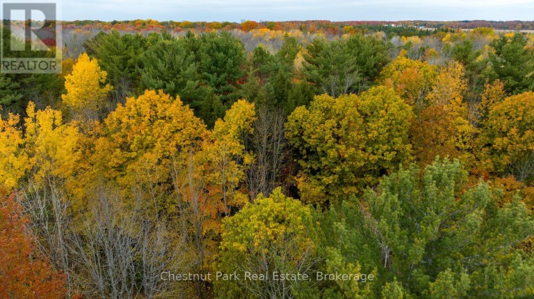 PT LT 18 CONCESSION 13 W, Tiny, Ontario, L0L2J0