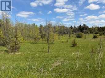 LOT 55, 56 &57 COUNTY RD 25 Trent Hills (Warkworth) Ontario photo 1