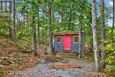 2712 CHANNEL VIEW LANE Selwyn Ontario photo 40