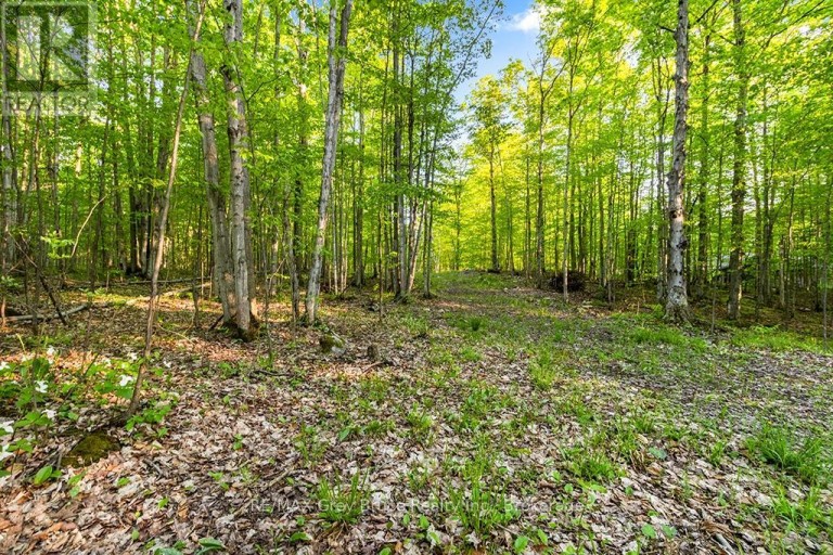 PART LOT 20 CONCESSION ROAD 14 CONCESSION, Georgian Bluffs, Ontario, N0H2K0