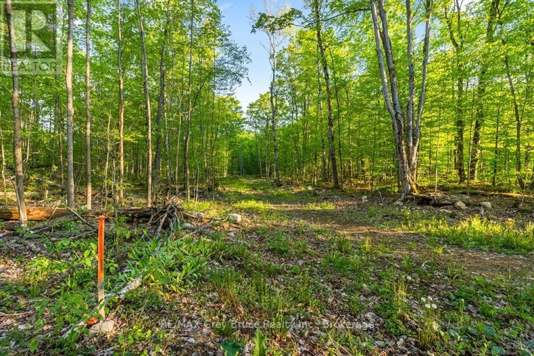 PART LOT 20 CONCESSION ROAD 14 CONCESSION, Georgian Bluffs, Ontario, N0H2K0