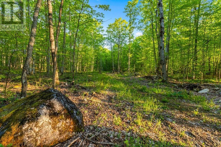 PART LOT 20 CONCESSION ROAD 14 CONCESSION, Georgian Bluffs, Ontario, N0H2K0