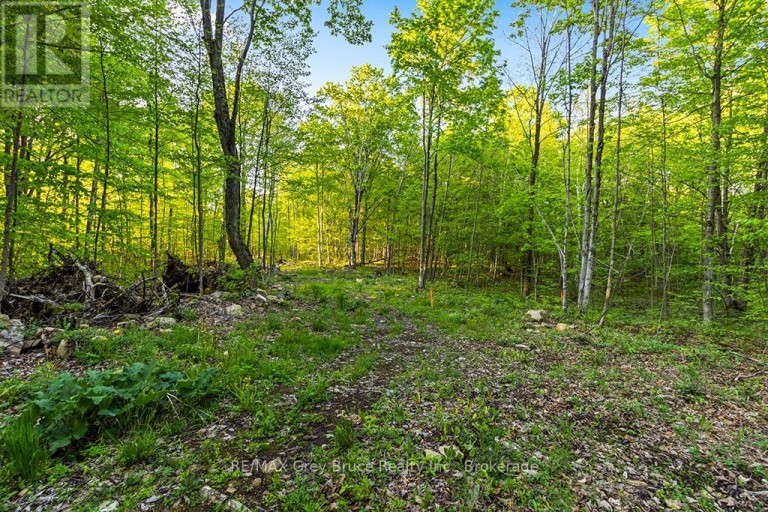 PART LOT 20 CONCESSION ROAD 14 CONCESSION, Georgian Bluffs, Ontario, N0H2K0