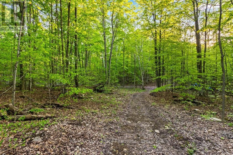 PART LOT 20 CONCESSION ROAD 14 CONCESSION, Georgian Bluffs, Ontario, N0H2K0