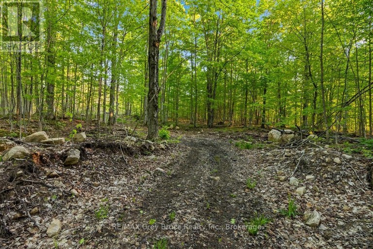 PART LOT 20 CONCESSION ROAD 14 CONCESSION, Georgian Bluffs, Ontario, N0H2K0
