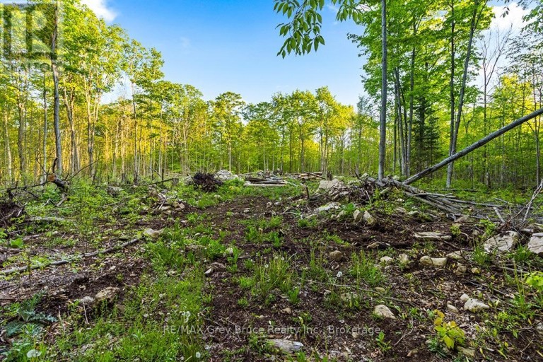 PART LOT 20 CONCESSION ROAD 14 CONCESSION, Georgian Bluffs, Ontario, N0H2K0