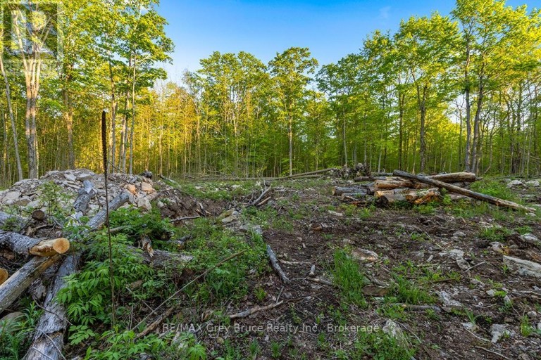 PART LOT 20 CONCESSION ROAD 14 CONCESSION, Georgian Bluffs, Ontario, N0H2K0
