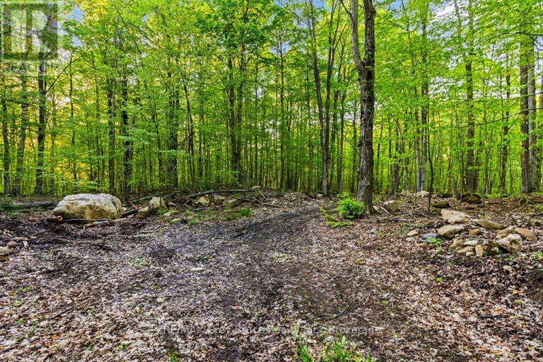 PART LOT 20 CONCESSION ROAD 14 CONCESSION, Georgian Bluffs, Ontario, N0H2K0
