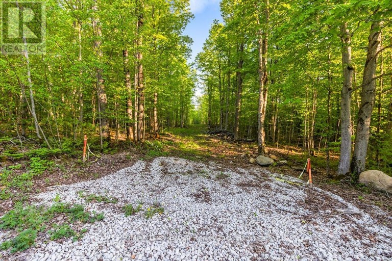 PART LOT 20 CONCESSION ROAD 14 CONCESSION, Georgian Bluffs, Ontario, N0H2K0