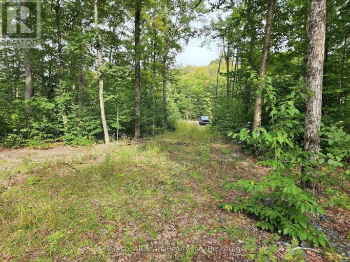 3480 BRUNEL ROAD, Lake of Bays (Mclean), Ontario, P1H2J3