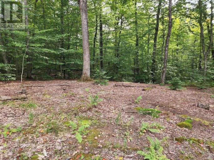 3480 BRUNEL ROAD, Lake of Bays (Mclean), Ontario, P1H2J3