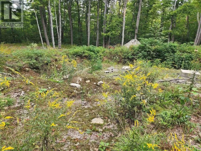 3480 BRUNEL ROAD, Lake of Bays (Mclean), Ontario, P1H2J3