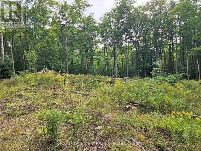 3480 BRUNEL ROAD, Lake of Bays (Mclean), Ontario, P1H2J3