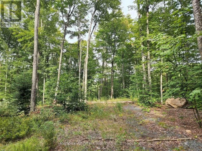 3480 BRUNEL ROAD, Lake of Bays (Mclean), Ontario, P1H2J3