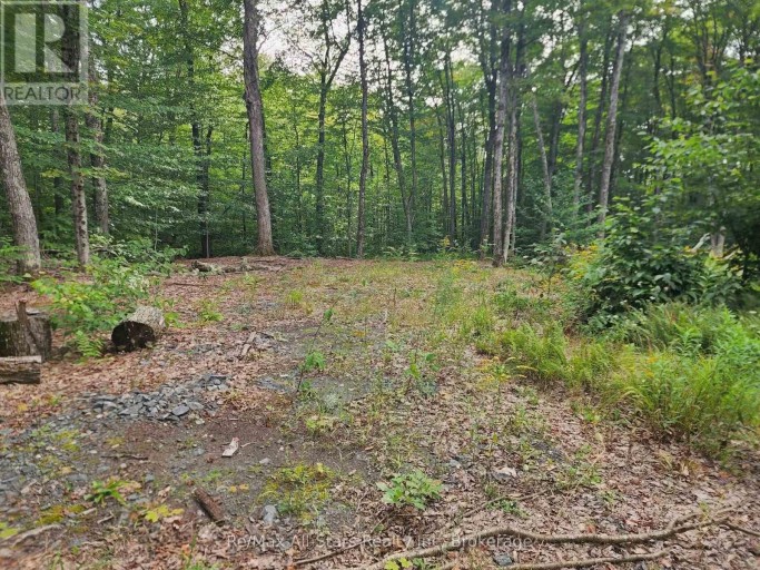 3480 BRUNEL ROAD, Lake of Bays (Mclean), Ontario, P1H2J3