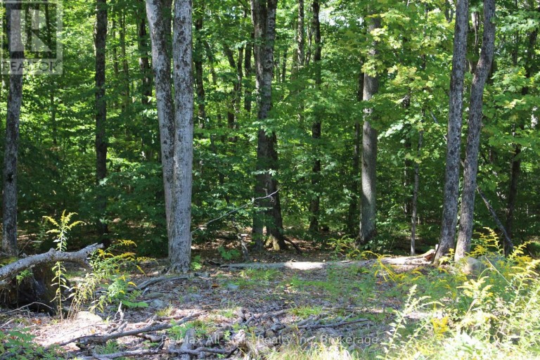 3480 BRUNEL ROAD, Lake of Bays (Mclean), Ontario, P1H2J3