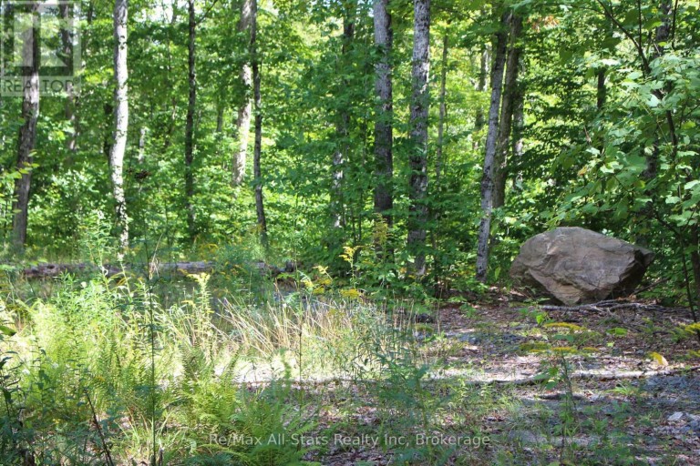 3480 BRUNEL ROAD, Lake of Bays (Mclean), Ontario, P1H2J3