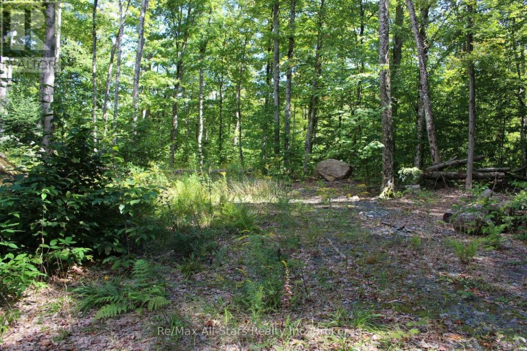 3480 BRUNEL ROAD, Lake of Bays (Mclean), Ontario, P1H2J3