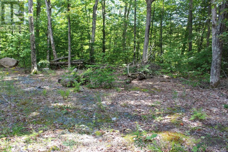 3480 BRUNEL ROAD, Lake of Bays (Mclean), Ontario, P1H2J3