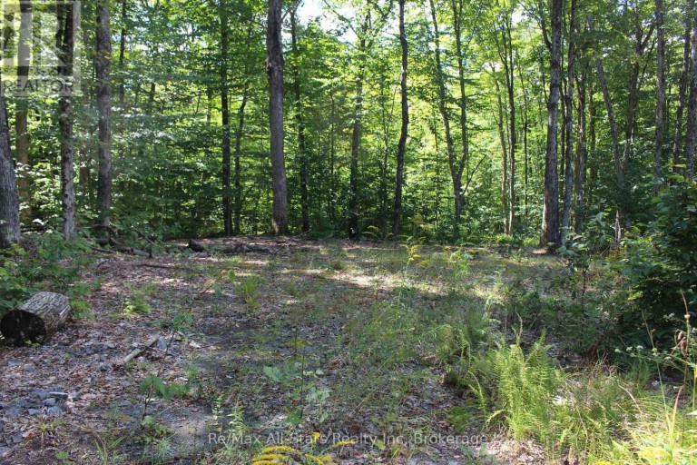 3480 BRUNEL ROAD, Lake of Bays (Mclean), Ontario, P1H2J3