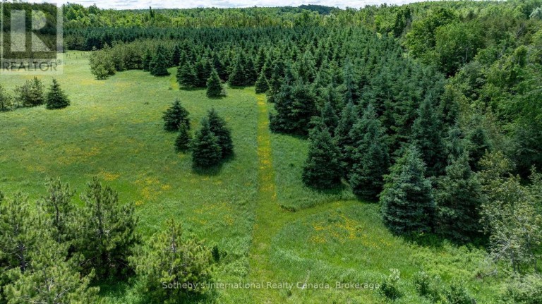 LOT 14 CON 2 1ST LINE E EHS, Mulmur, Ontario, L9V0G2