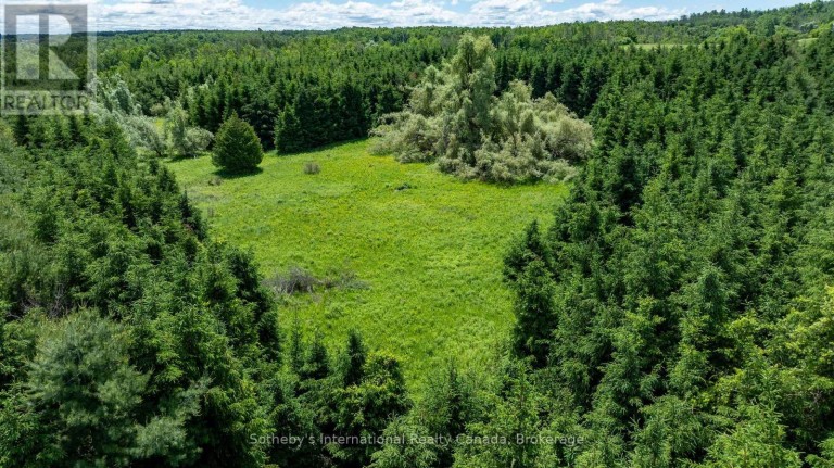 LOT 14 CON 2 1ST LINE E EHS, Mulmur, Ontario, L9V0G2