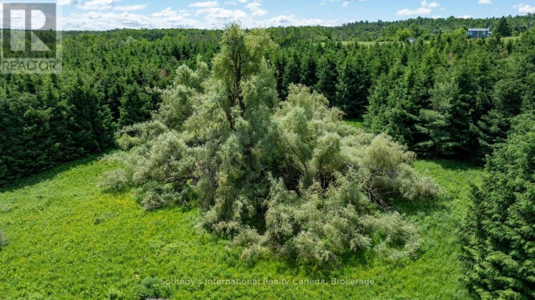 LOT 14 CON 2 1ST LINE E EHS, Mulmur, Ontario, L9V0G2