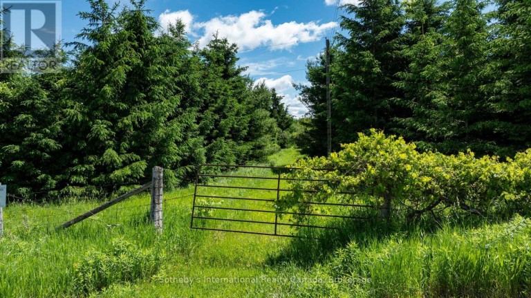 LOT 14 CON 2 1ST LINE E EHS, Mulmur, Ontario, L9V0G2