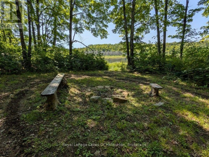 9842 HIGHWAY 35, Minden Hills (Lutterworth), Ontario, K0M2L1