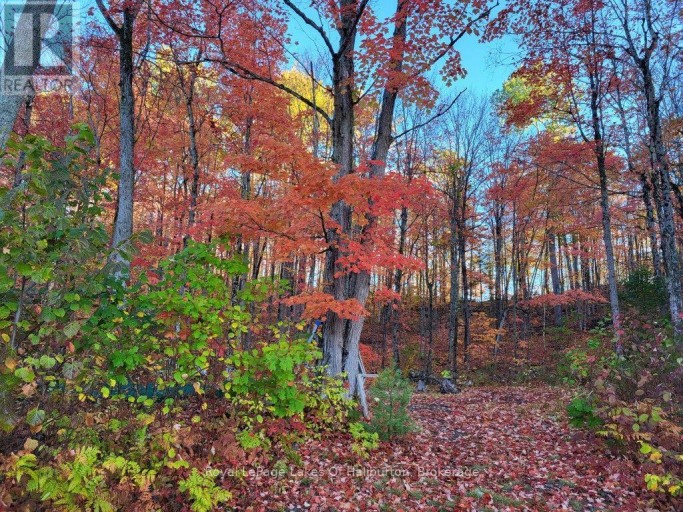 9842 HIGHWAY 35, Minden Hills (Lutterworth), Ontario, K0M2L1