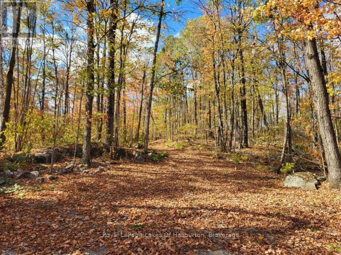 9842 HIGHWAY 35, Minden Hills (Lutterworth), Ontario, K0M2L1