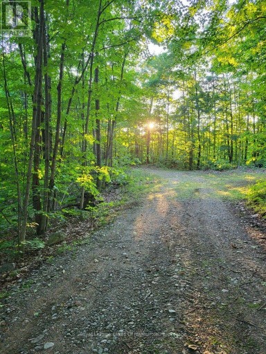 9842 HIGHWAY 35, Minden Hills (Lutterworth), Ontario, K0M2L1