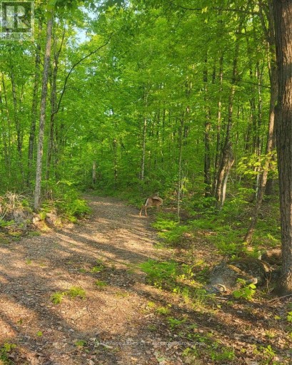 9842 HIGHWAY 35, Minden Hills (Lutterworth), Ontario, K0M2L1