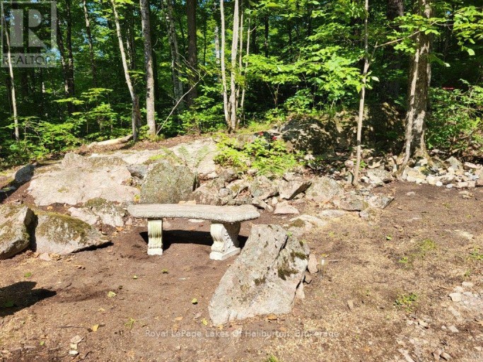 9842 HIGHWAY 35, Minden Hills (Lutterworth), Ontario, K0M2L1