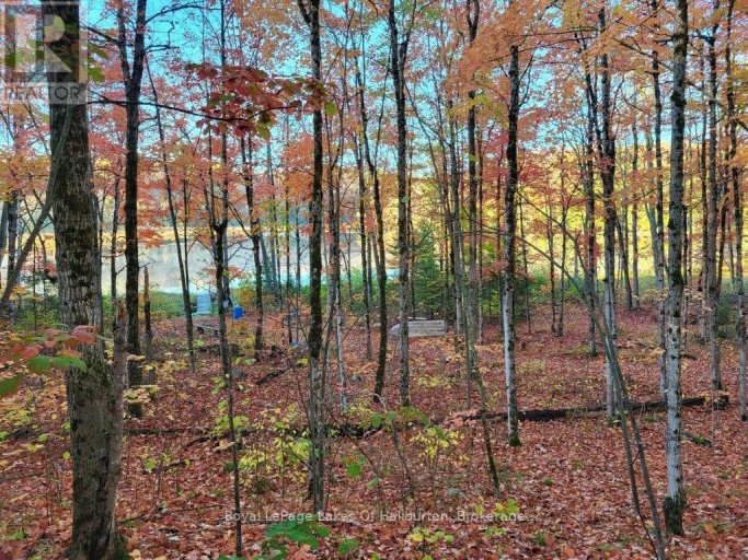 9842 HIGHWAY 35, Minden Hills (Lutterworth), Ontario, K0M2L1