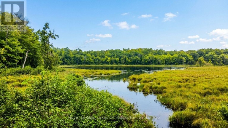 9842 HIGHWAY 35, Minden Hills (Lutterworth), Ontario, K0M2L1