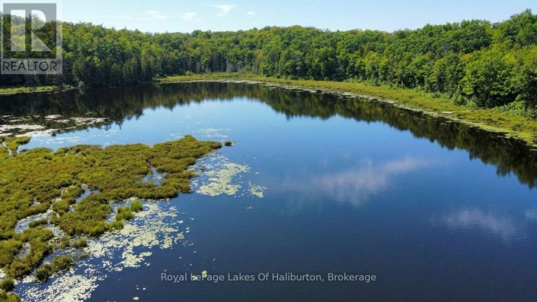 9842 HIGHWAY 35, Minden Hills (Lutterworth), Ontario, K0M2L1