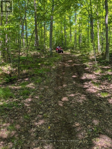 9842 HIGHWAY 35, Minden Hills (Lutterworth), Ontario, K0M2L1