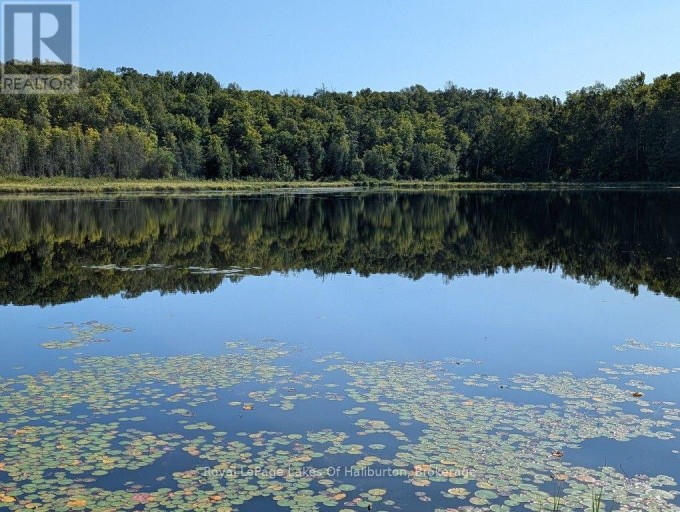 9842 HIGHWAY 35, Minden Hills (Lutterworth), Ontario, K0M2L1