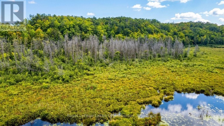 9842 HIGHWAY 35, Minden Hills (Lutterworth), Ontario, K0M2L1