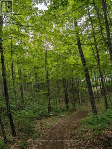 9842 HIGHWAY 35, Minden Hills (Lutterworth), Ontario, K0M2L1