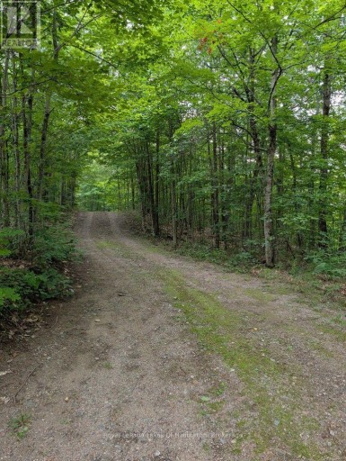 9842 HIGHWAY 35, Minden Hills (Lutterworth), Ontario, K0M2L1