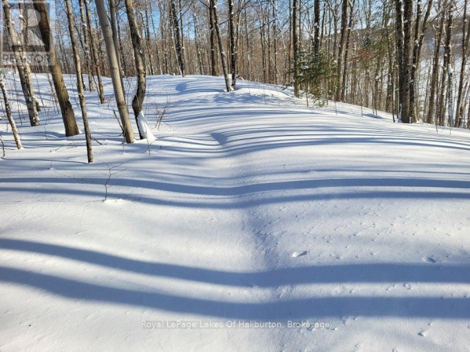9842 HIGHWAY 35, Minden Hills (Lutterworth), Ontario, K0M2L1