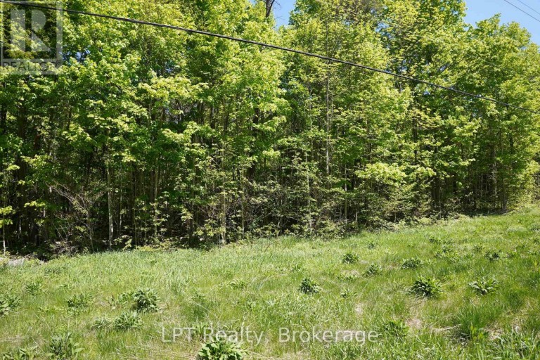 LOT 16 GREY ROAD 17, Georgian Bluffs, Ontario, N0H2T0