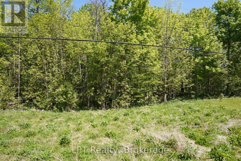 LOT 16 GREY ROAD 17, Georgian Bluffs, Ontario, N0H2T0