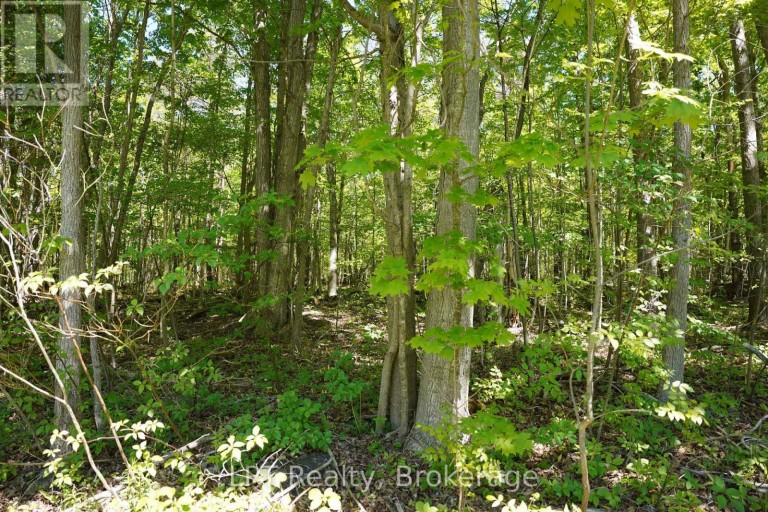 LOT 16 GREY ROAD 17, Georgian Bluffs, Ontario, N0H2T0